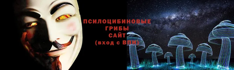 продажа наркотиков  Дмитров  Галлюциногенные грибы Magic Shrooms 